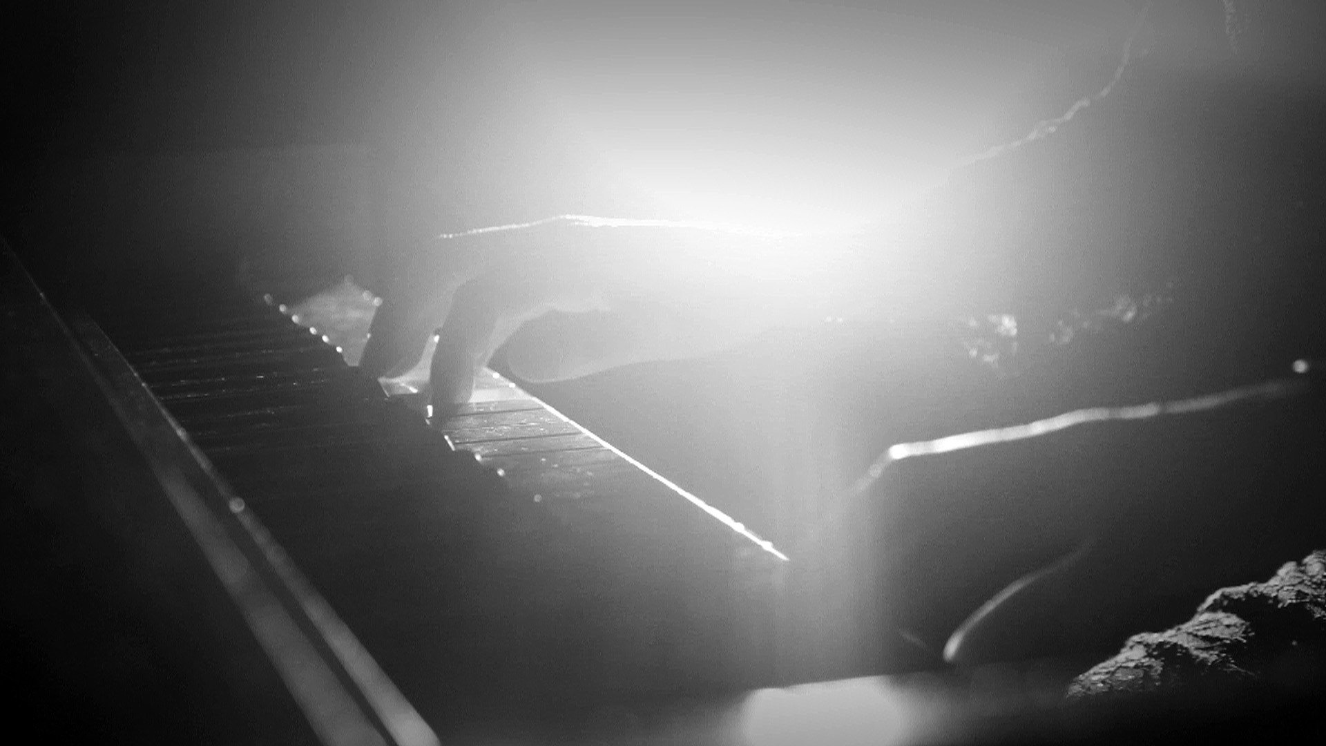 Hands of the pianist